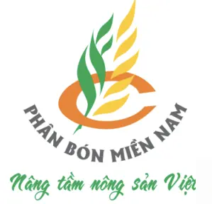 Phan Bon Mien Nam